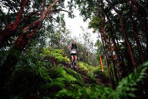 BIB: 
                            <button type="button" onclick="openModal(26201004)" class="btn btn-primary btn-sm float-right btn-popup" data-toggle="modal" data-target=".modal-high-quality">
                        <i class="fas fa-shopping-cart"></i> Add to Cart
                    </button>
                                            <button type="button" onclick="isThisMe(26201004, true)" class="btn btn-success btn-sm float-right btn-popup btn-isme hidden" data-toggle="tooltip" data-placement="bottom" title="นี่คือรูปของคุณใช่ไหม คลิกที่นี่เพื่อเอาเข้าอัลบั้ม">
                        <i class="fas fa-plus"></i> Add to album
                    </button>
                    <button type="button" onclick="isThisMe(26201004, false)" class="btn btn-warning btn-sm float-right btn-popup btn-isnotme hidden">
                        <i class="fas fa-ban"></i> Remove from album
                    </button>